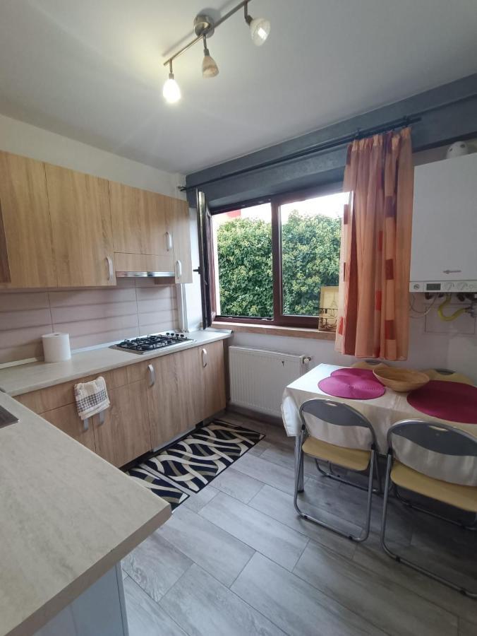 Daylight Apartments Сибиу Экстерьер фото